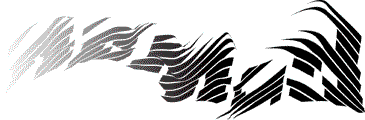Logo 40