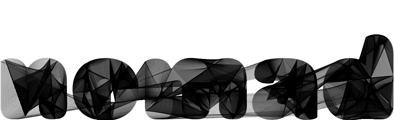 Logo 41